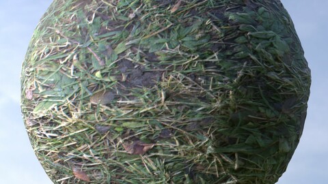 Grass With Mud PBR Material