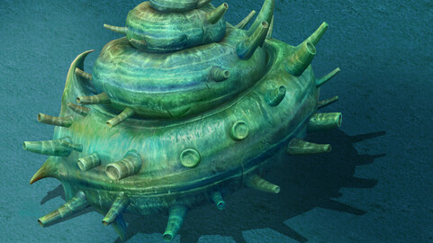 Submarine Cartoon World - Sea King conch