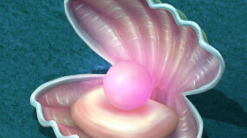 ubmarine cartoon world - watermelon pearl shells