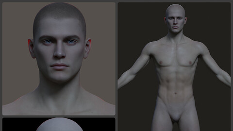 Basic body for games