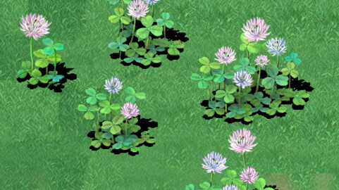 Cartoon version - clover