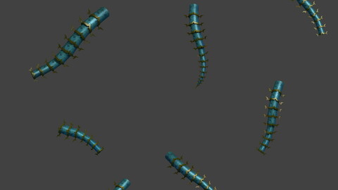 Magic territory - insects