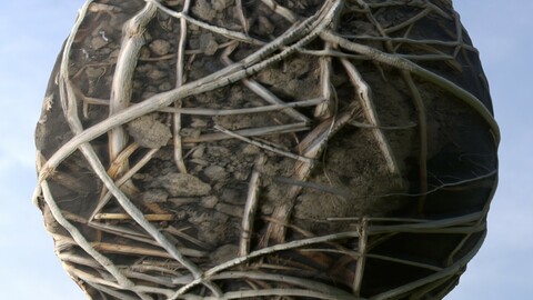 Dry Grass And Dirt PBR Material