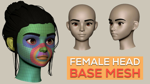 Stylized Female Head Basemesh