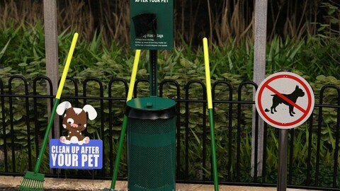 Dog Waste Station and Props