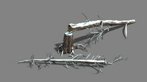 Ice and Snow - Cedar 04