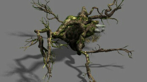 Fell to the ground to rotten trees