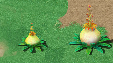 Cartoon version - flower belly flower