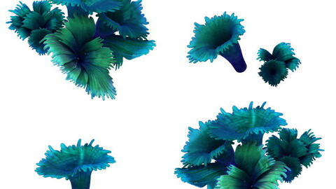 Game Model - Hanging Garden - Tianjing Coral 02