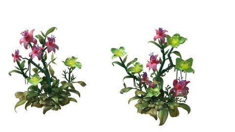 Hanging Garden - Xian Yun flowers combination 02
