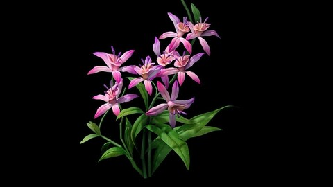 Game model - Hanging Garden - Fairy Cloud flowers