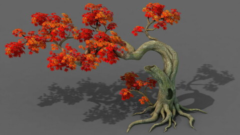 Forest - Maple Tree 11