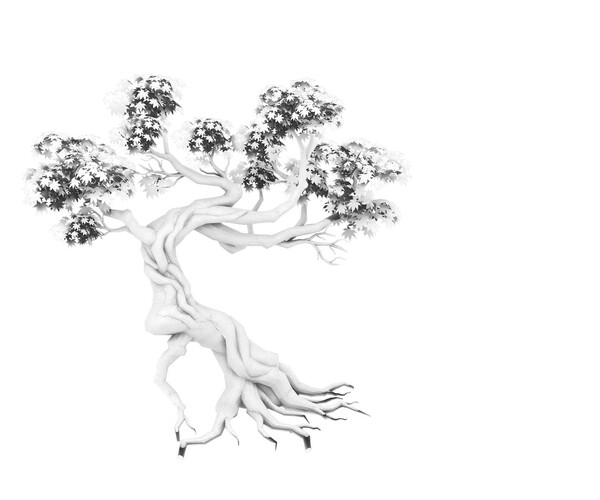 ArtStation - Forest - Maple Tree 12 | Game Assets