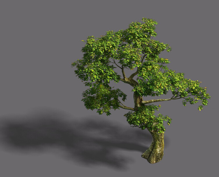 ArtStation - Forest - Tree 21 | Game Assets