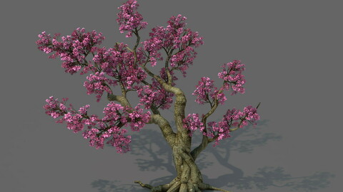 Forest - Peach Blossom Tree 02