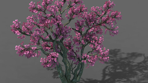 Forest - Peach Tree 03