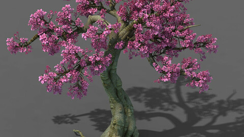 Forest - Peach Blossom Tree 04