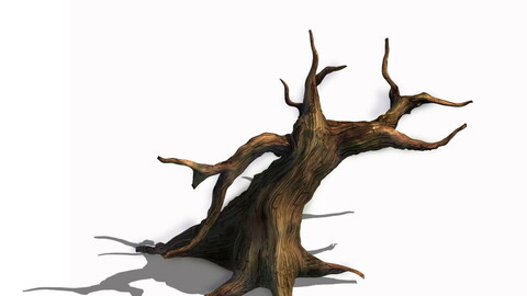 Desert - dead tree 12