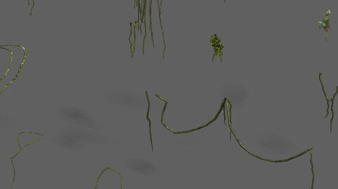 Shushan - vines