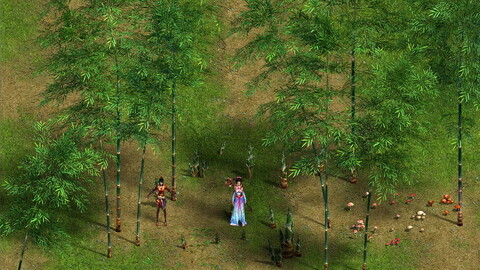 Woods - Bamboo 02