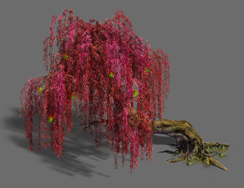 Her tree