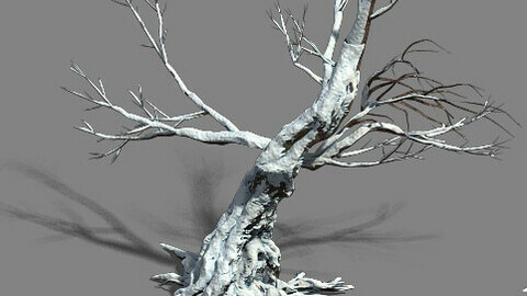 Snow - dead tree 1