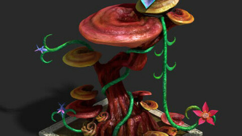 lant growth process - Dongtian Ganoderma lucidum