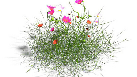 Plant - Gesang Hua