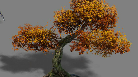 Plant - red tree 02