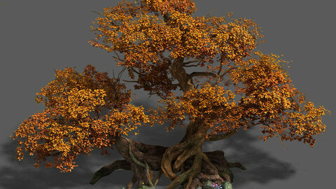 Plant - red tree 03