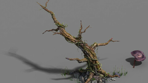 Plant - dead tree