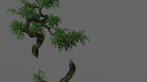 Plant - Green Tree 7
