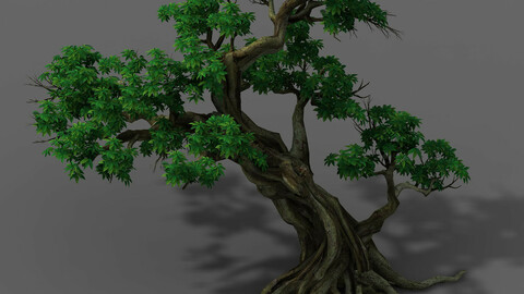 Plant - Green Leaves 02