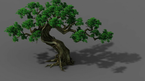 Plant - Green Trees 03