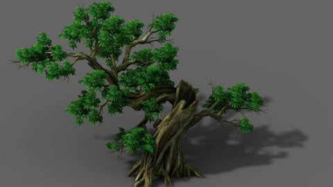 Plant - Green Leaves 04
