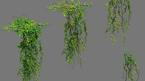 Decoration - vines
