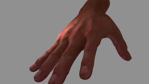 Hand 3d Model