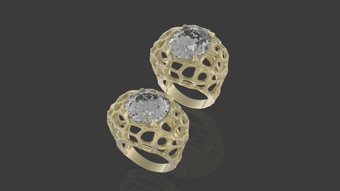 2 rings roots 3D print model