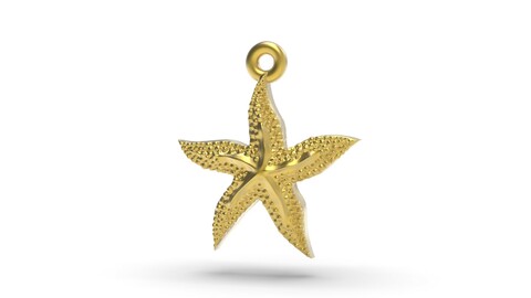Excellent starfish 3D print model