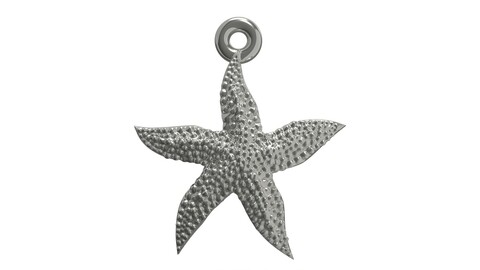 Starfish superb 3D print model