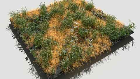 Common Snowdrop Meadow Patch and Free Gift