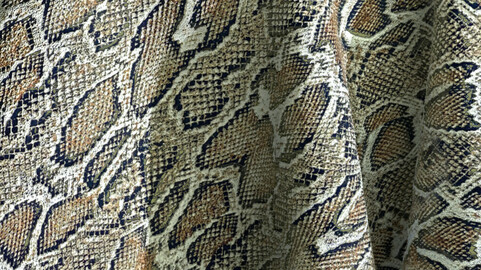 Snake skin PBR texture