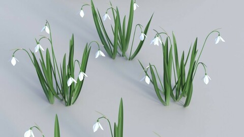 Wild Flowers Vol 6 - Spring Plants