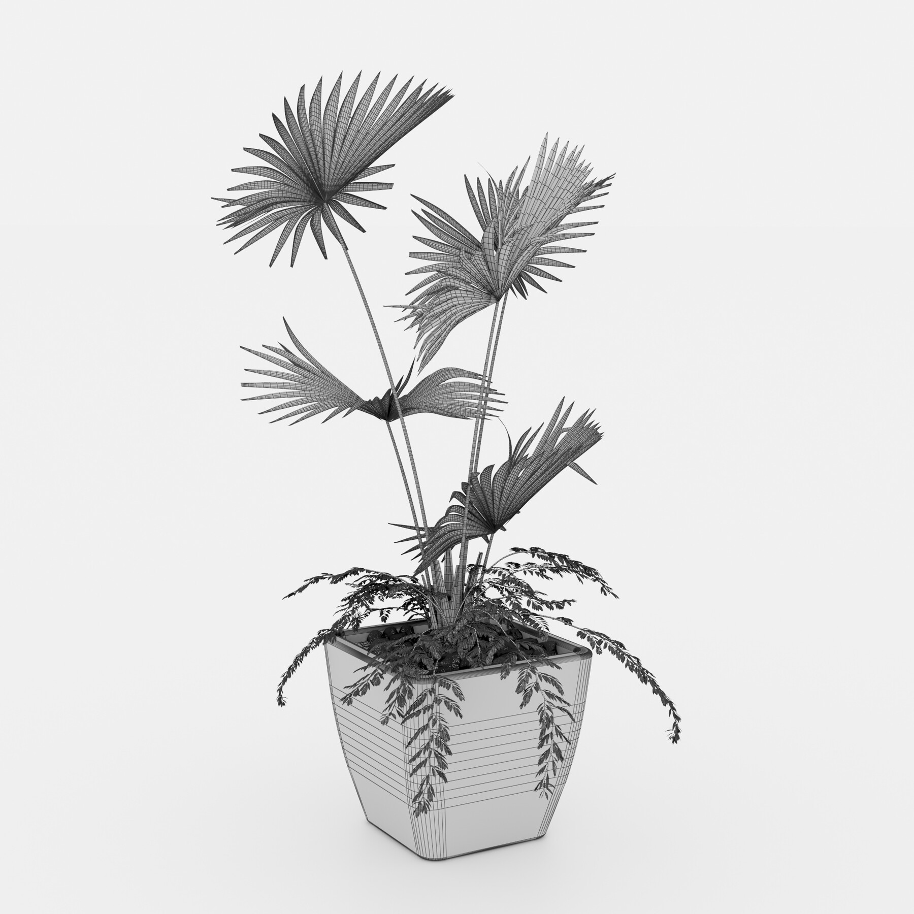 artstation-indoor-palm-plant-resources