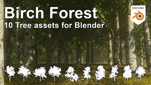 Birch Forest