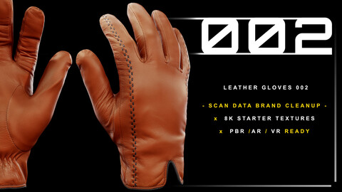 Leather Gloves 002