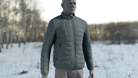3D model of Men's Down Jacket 3