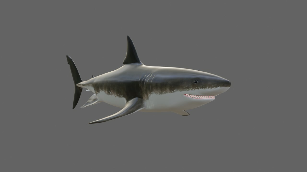 ArtStation - Shark - Tubarao Low-poly and High Poly 3D model | Game Assets