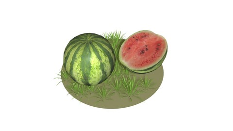 WatermelonS