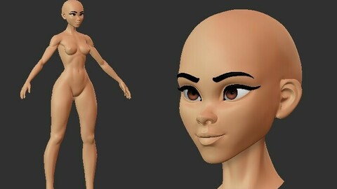 Stylized Female Basemesh v2 .ZTL .blend .fbx